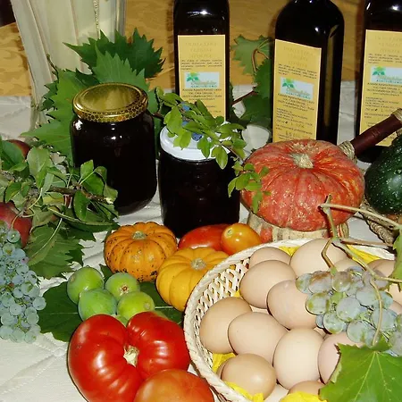 Agriturismo Olimpia Valfabbrica